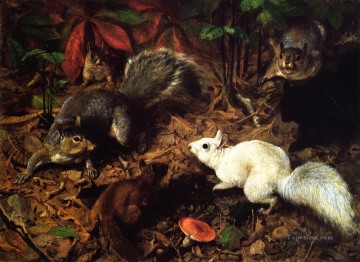 Eichhörnchen als The White bekannt Eichhörnchen William Holbrook Beard Tier Ölgemälde